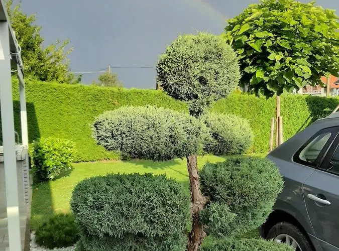 Appartamento Apartmaji Tisa *